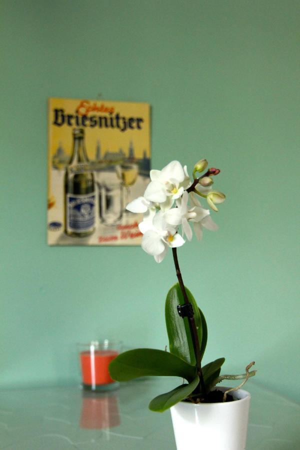 / Flat / Im Herzen Von Dresde